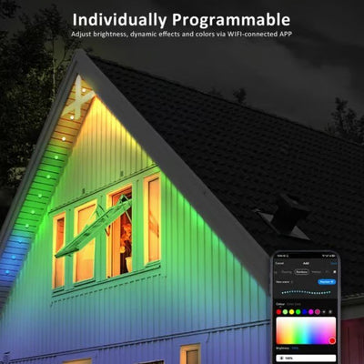 🌈 Smart, Rainbow, Steady LED Outdoor Lighting - FairyLightTrees