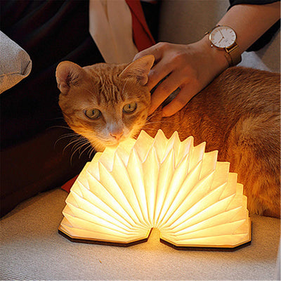 ACCORDION LAMP™ - FairyLightTrees